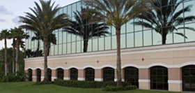 Commercial Building With Palm Trees